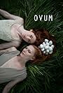 Ovum (2015)