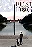 First Dog (2010) Poster