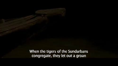 Trailer of my movie "ROAR - THE TIGERS OF THE SUNDARBANS"