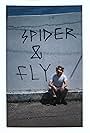 Spider & Fly (2016)