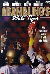 Primary photo for Grambling's White Tiger