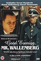 God afton, herr Wallenberg