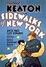 Sidewalks of New York (1931) Poster