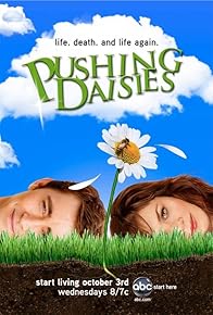 Primary photo for Pushing Daisies