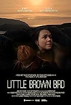 Little Brown Bird