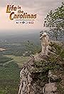 Life in the Carolinas (2010)