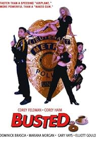 Busted (1997)