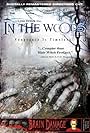 In the Woods (1999)