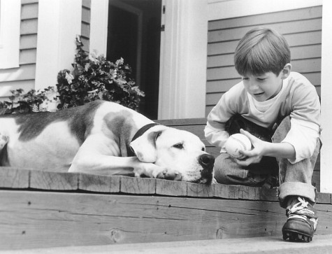 Michael J. Fox and Kevin Chevalia in Homeward Bound II: Lost in San Francisco (1996)