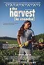 The Harvest/La Cosecha (2011)