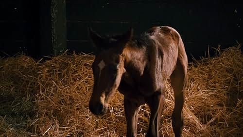 The life story of Penny Chenery, owner of the racehorse Secretariat, who won the Triple Crown in 1973.