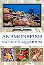 Anemonefish: Nature's Aquarium (2011)