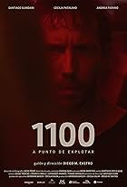 1100 (2019)