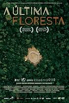 A Última Floresta