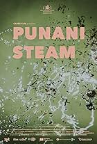 Punani Steam