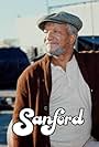 Redd Foxx in Sanford (1980)