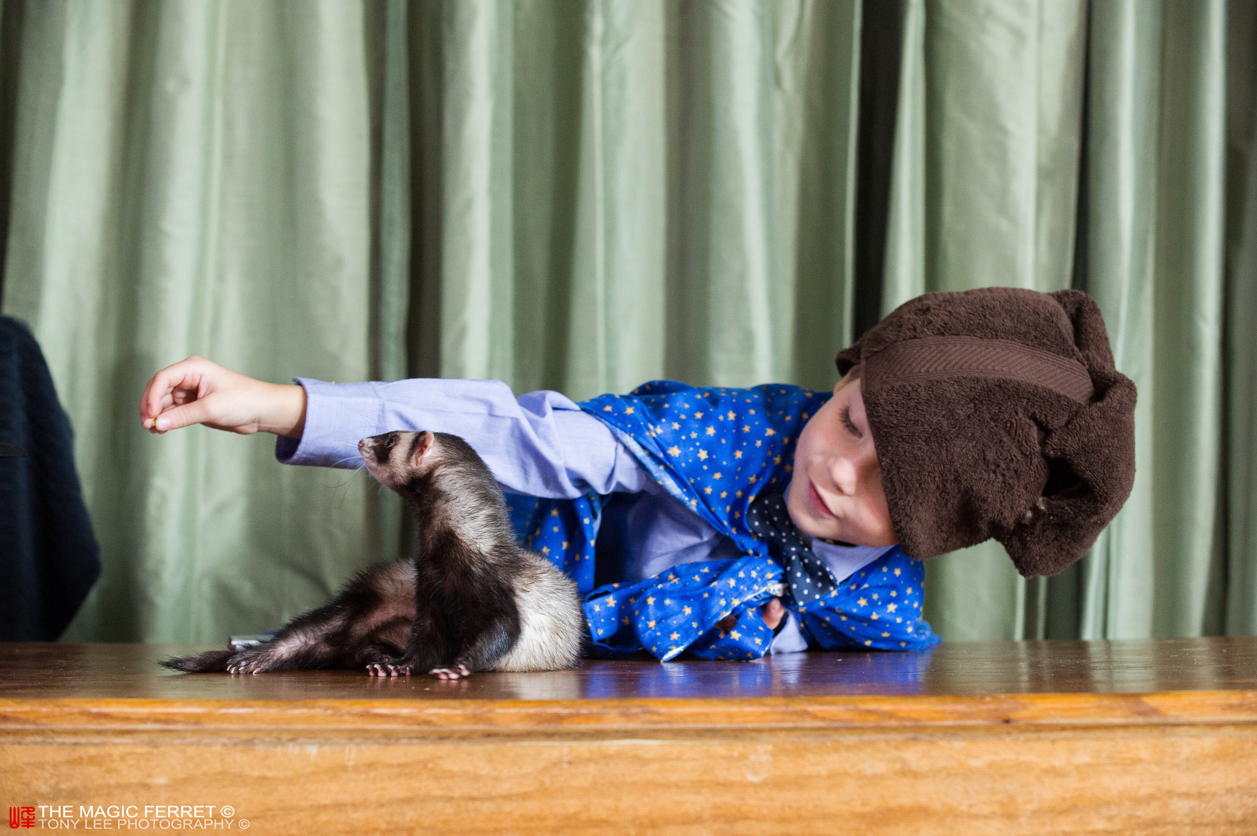 Still of Falcor the Ferret and Jacob Tremblay in The Magic Ferret.