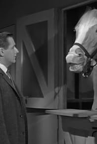 Primary photo for Clint Eastwood Meets Mister Ed