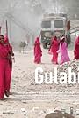 Gulabi Gang (2012)