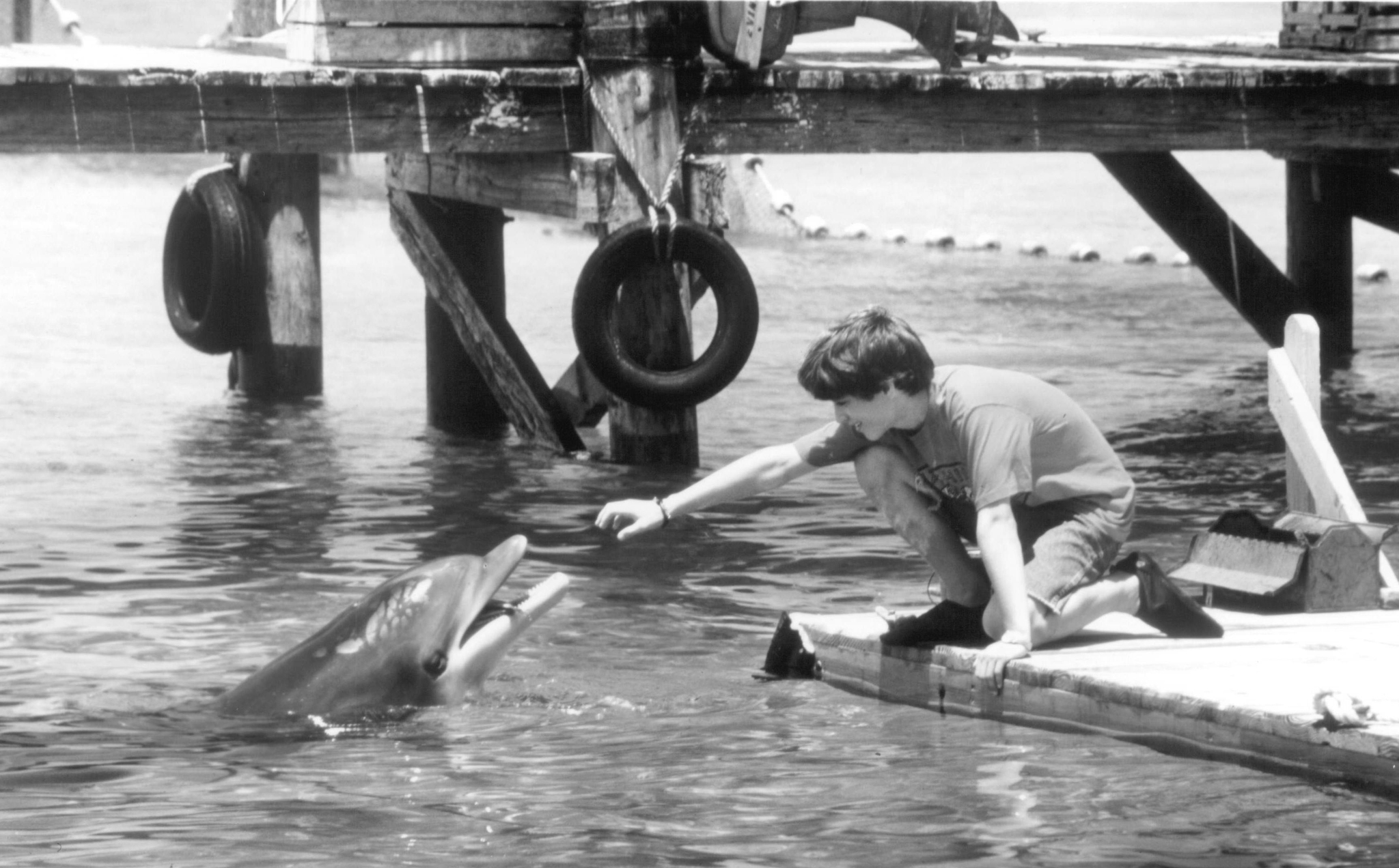 Elijah Wood in Flipper (1996)