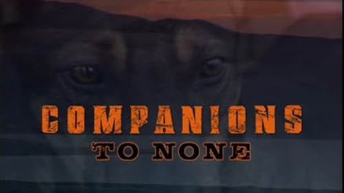 Companions to None