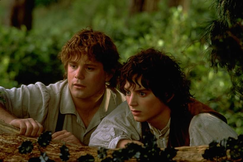 Sean Astin and Elijah Wood in Chúa Tể Của Những Chiếc Nhẫn: Những Người Bạn Của Nhẫn (2001)