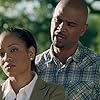 Dawn-Lyen Gardner and Dondré T. Whitfield in Queen Sugar (2016)