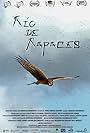 River of raptors (Río de rapaces) (2019)