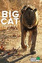 Big Cat Country