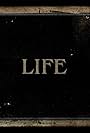 Life (2013)