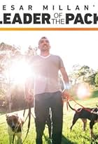 Cesar Millan's Leader of the Pack