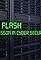 In a Flash: A Lesson in Cyber Security's primary photo