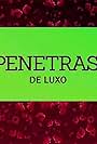 Penetras de Luxo (2012)