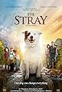 Sarah Lancaster, Michael Cassidy, Connor Corum, Enoch Ellis, and Brennin Williams in The Stray (2017)