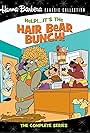 Help!... It's the Hair Bear Bunch! (1971)