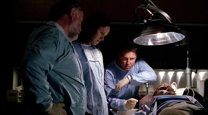 Robert David Hall, Jorja Fox, William Petersen, and Jodi Lyn Brockton in Đội Điều Tra Hiện Trường (2000)