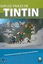 Sur les traces de Tintin (2010)