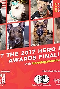 Primary photo for 2017 Hero Dog Awards