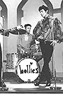 The Hollies