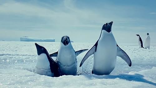 Oceans: Swimming Penguins