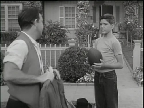 Robert Nichols and Paul Petersen in The Donna Reed Show (1958)