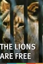 The Lions Are Free (1969)