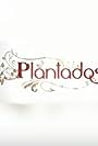 Plantados (2009)