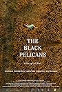 The Black Pelicans