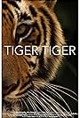 Tiger Tiger (2015)