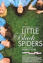 Little Black Spiders