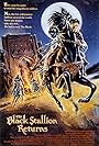 The Black Stallion Returns (1983)