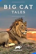 Big Cat Tales