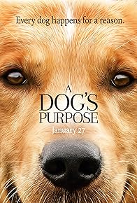 Primary photo for A Dog's Purpose