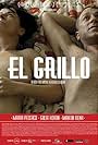 El grillo (2013)